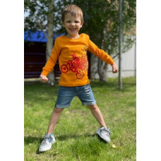 ФБ 296 Фуфайка для мальчика, ассорти