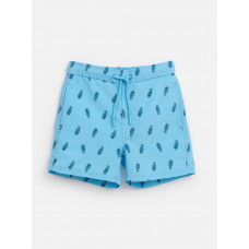 20124750017, Купальные шорты детские для мальчиков Rassel набивка