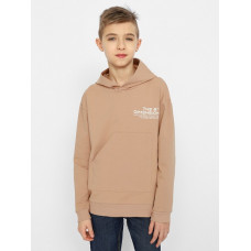 CSJB 63478-31-355 Толстовка для мальчика,бежевый