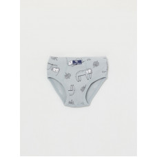 CWKB 10063-23 Трусы для мальчика, серый