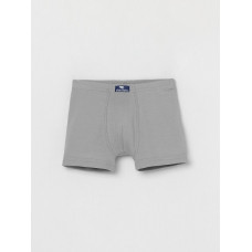 CAJB 10033-23 Трусы-боксеры для мальчика, серый