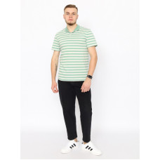 CWSM 60369-37 Рубашка-поло мужская,зеленый
