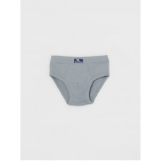 CAKB 10028-23 Трусы для мальчика, серый