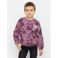 CSKB 63467-44-353 Джемпер для мальчика,фиолетовый