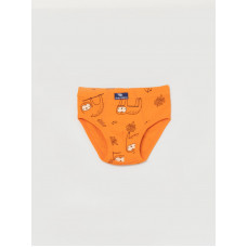 CWKB 10063-29 Трусы для мальчика, оранжевый