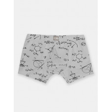 CSXМ 10052-23 Трусы-боксеры мужские,серый