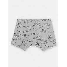 CSXМ 10052-23 Трусы-боксеры мужские,серый